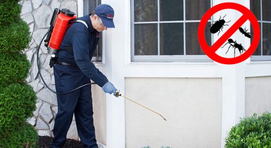 Gölpazarı Kene İlaçlama böcek ilaçlama ve haşere kontrolü — ilaclama-tr.com
